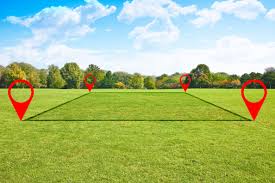 plot area